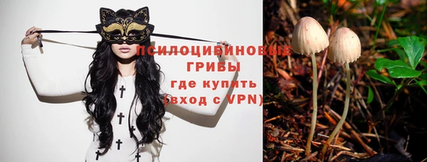 экстази Арсеньев