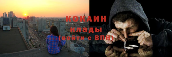 сатива Анива