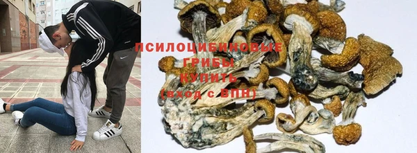 экстази Арсеньев