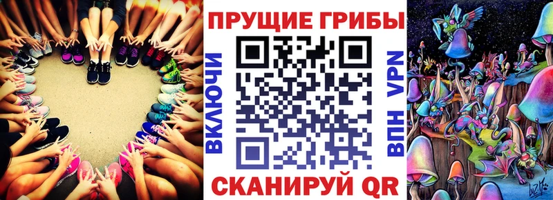продажа наркотиков  Билибино  Псилоцибиновые грибы мицелий 